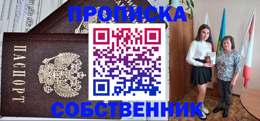 временная регистрация поиск в Светлогорске